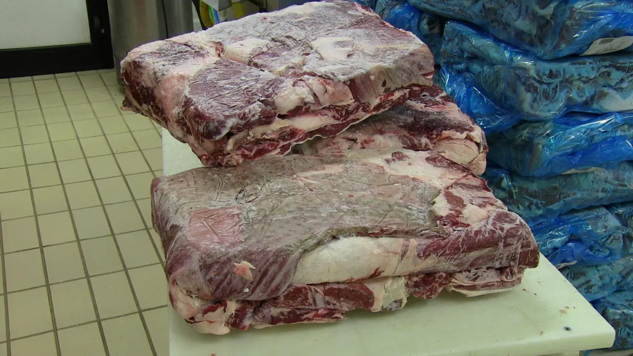 Risco Flaker for frozen meat and other frozen food stuffs
