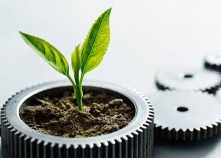 Ambiente e Sicurezza